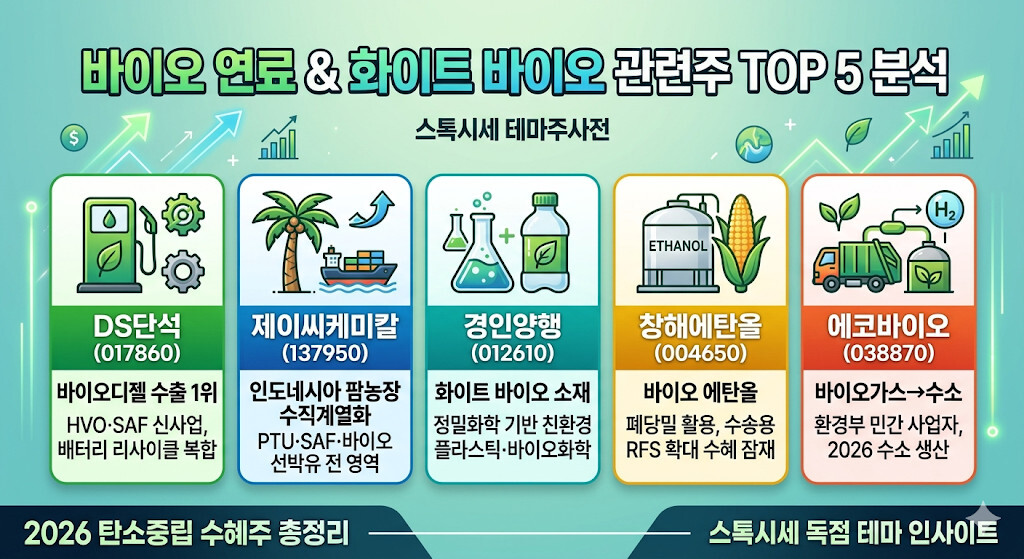 바이오 연료 및 화이트 바이오 관련주 TOP 5(DS단석, 제이씨케미칼, 경인양행, 창해에탄올, 에코바이오)의 핵심 투자 포인트와 종목 코드를 정리한 인포그래픽 이미지